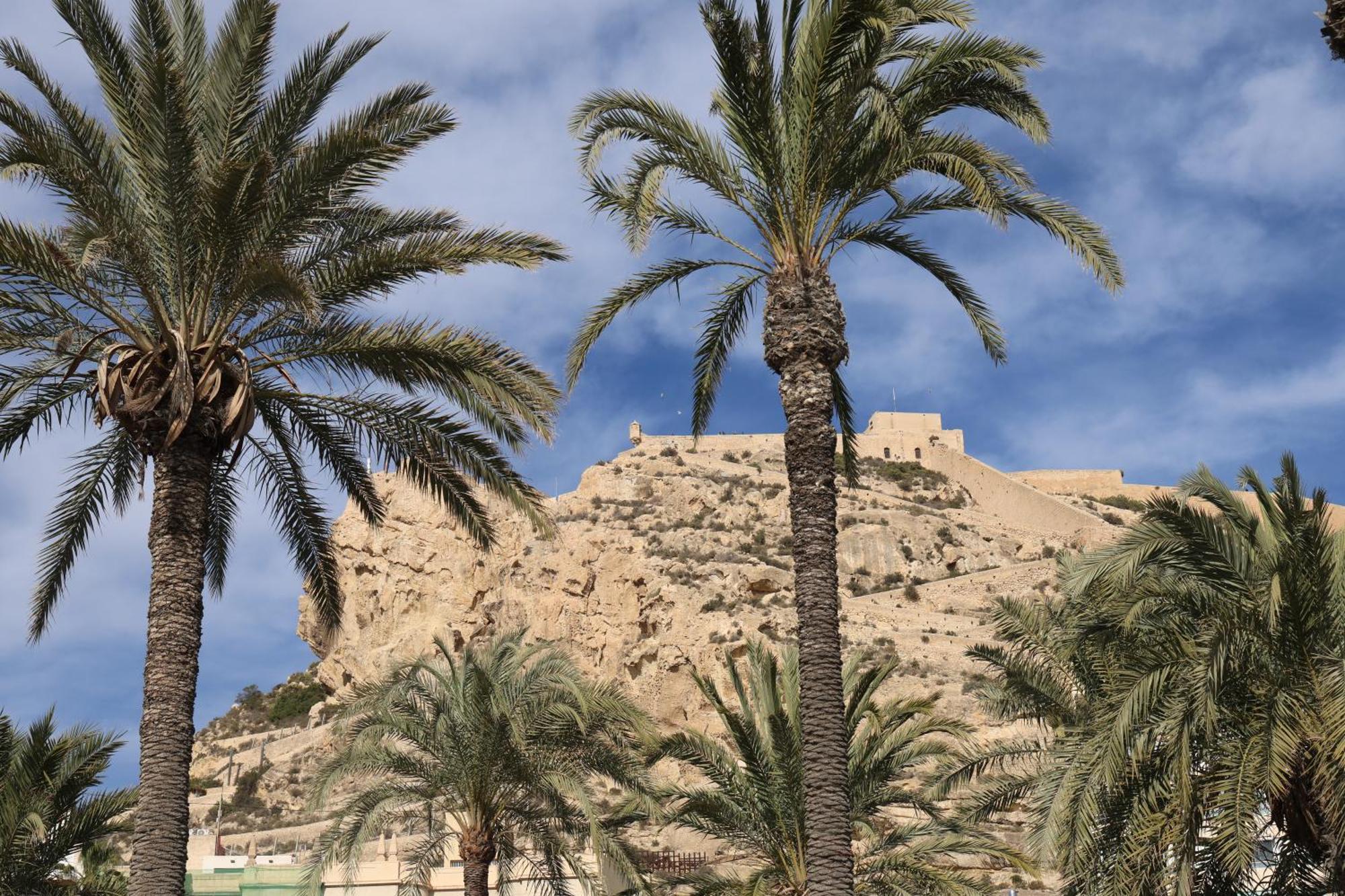 Alicantan Vital Experience Alicante Exterior photo