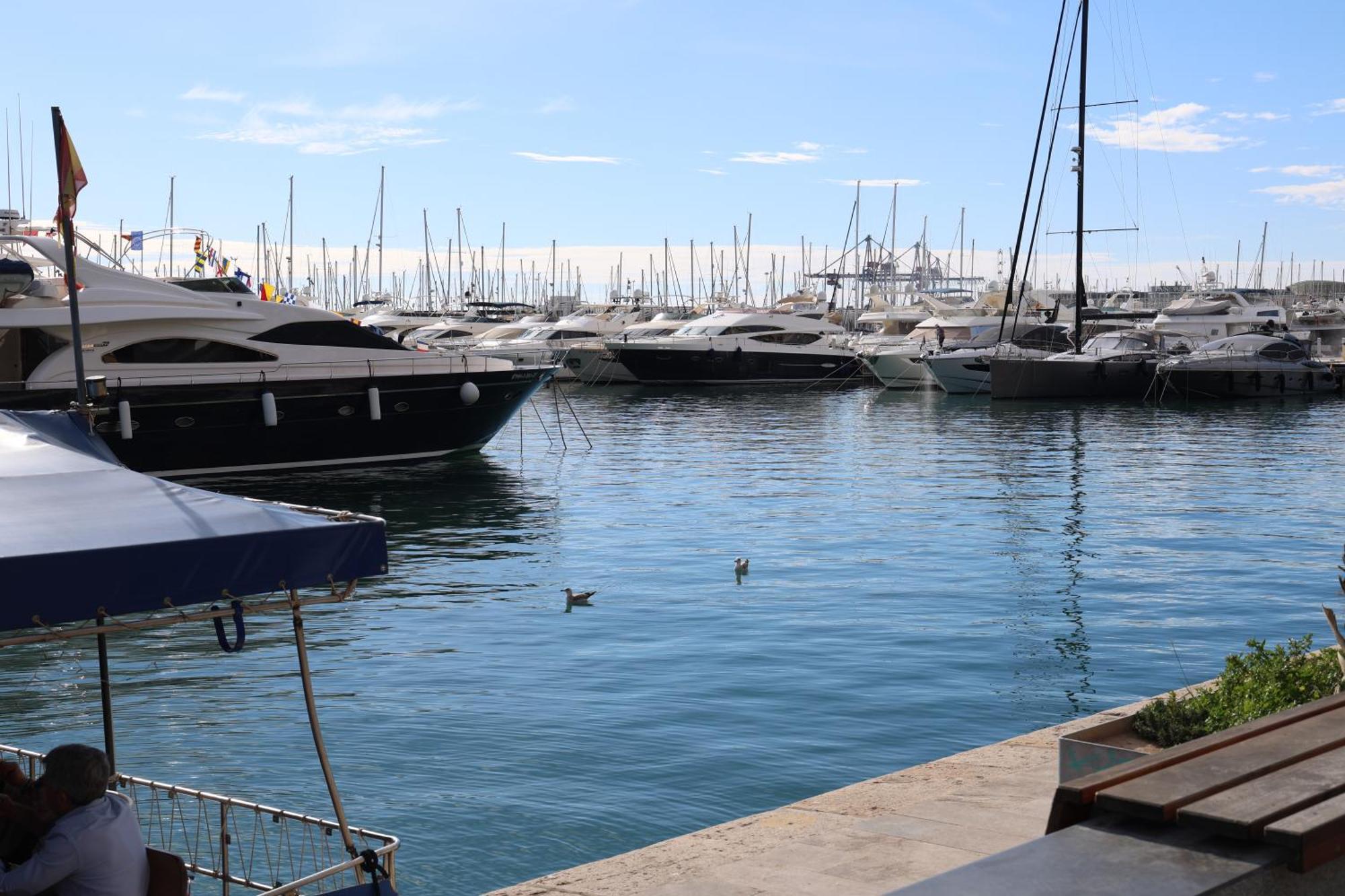 Alicantan Vital Experience Alicante Exterior photo